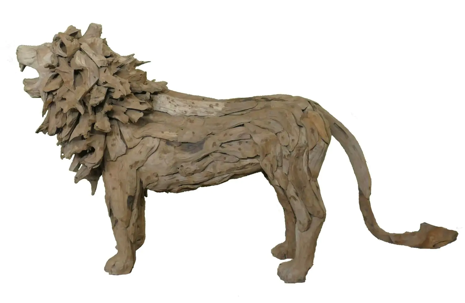  Product image 5 of the product “Standing royal Lion made from teak root pieces. About 200cm length and 115cm height. ”